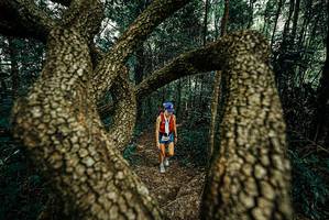 BIB: 
                            <button type="button" onclick="openModal(25668539)" class="btn btn-primary btn-sm float-right btn-popup" data-toggle="modal" data-target=".modal-high-quality">
                        <i class="fas fa-shopping-cart"></i> Add to Cart
                    </button>
                                            <button type="button" onclick="isThisMe(25668539, true)" class="btn btn-success btn-sm float-right btn-popup btn-isme hidden" data-toggle="tooltip" data-placement="bottom" title="นี่คือรูปของคุณใช่ไหม คลิกที่นี่เพื่อเอาเข้าอัลบั้ม">
                        <i class="fas fa-plus"></i> Add to album
                    </button>
                    <button type="button" onclick="isThisMe(25668539, false)" class="btn btn-warning btn-sm float-right btn-popup btn-isnotme hidden">
                        <i class="fas fa-ban"></i> Remove from album
                    </button>